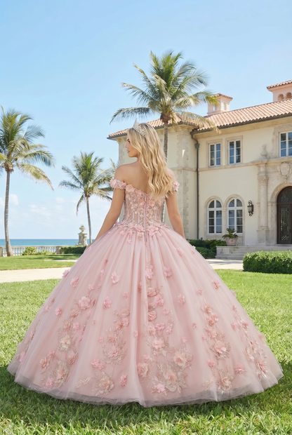 Charming Ball Gown Illusion Neck Quinceañera Dress With 3D Floral & Lace | Promspark