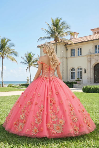 Charming Ball Gown Illusion Neck Quinceañera Dress With 3D Floral & Lace | Promspark