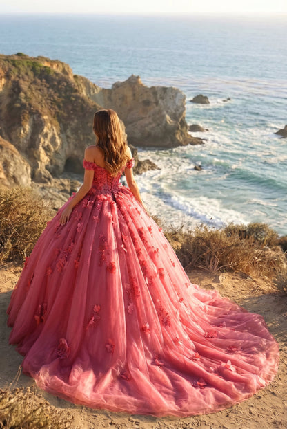 Charming Ball Gown Cold Shoulder Quinceañera Dress With 3D Floral & Lace | Promspark
