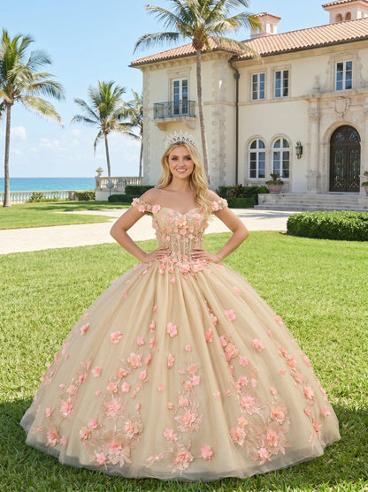 Charming Ball Gown Illusion Neck Quinceañera Dress With 3D Floral & Lace | Promspark